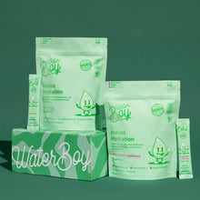 Load image into Gallery viewer, Waterboy Workout Hydration
