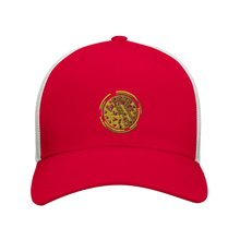 Load image into Gallery viewer, 6e004b75-a50b-4591-bc7e-1d987de55954
